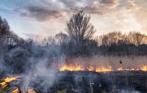 Пожарную опасность прогнозируют в течение 30 августа – 1 сентября