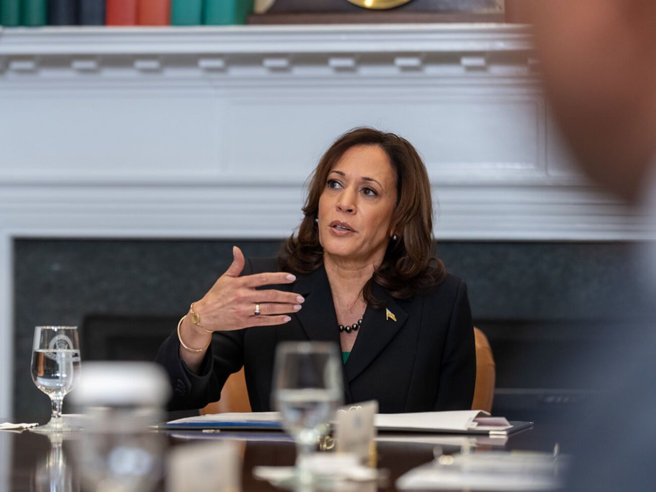 Віцепрезидентка США Камала Гарріс розповіла про свої пріоритети на чолі держави