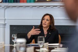 Вице-президент США Камала Харрис рассказала о своих приоритетах во главе государства