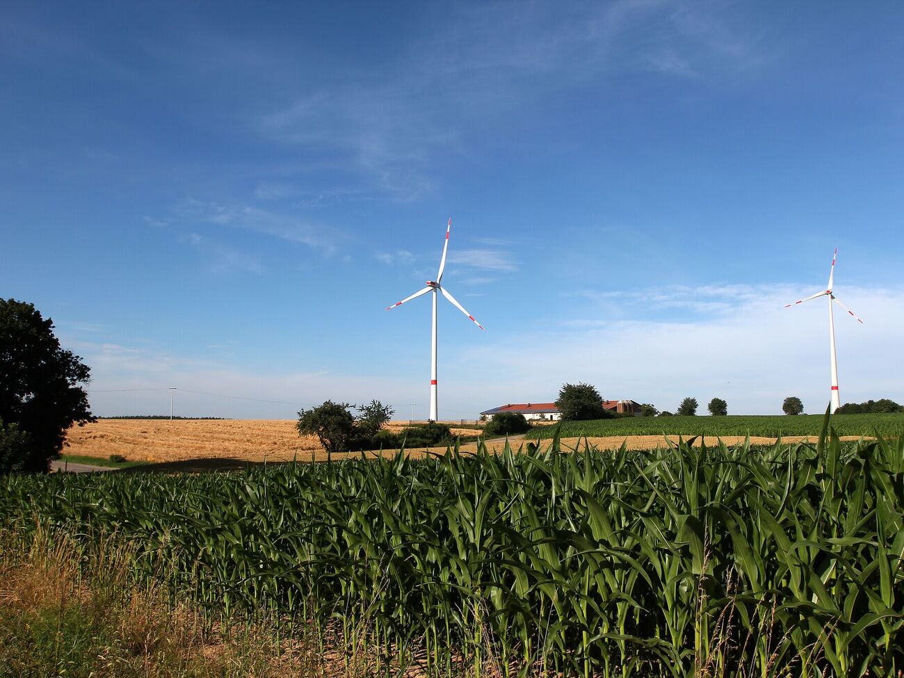 Борг ДП "Гарантований покупець" перед інвесторами в поновну енергетику сягнув майже 16 млрд грн