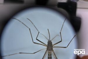 Лихорадка Западного Нила – вирусная болезнь, которая передается через укусы комаров