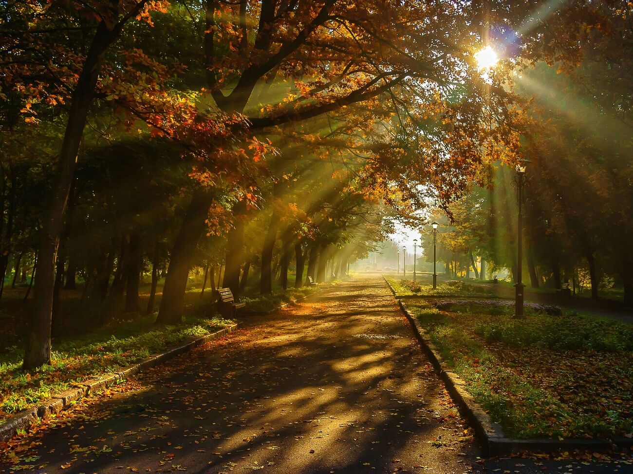 Первые дни осени в Украине будут жаркими