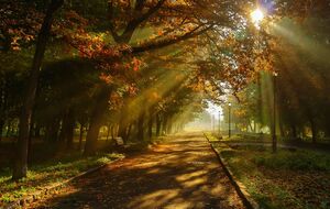 Первые дни осени в Украине будут жаркими