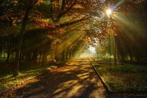 Первые дни осени в Украине будут жаркими