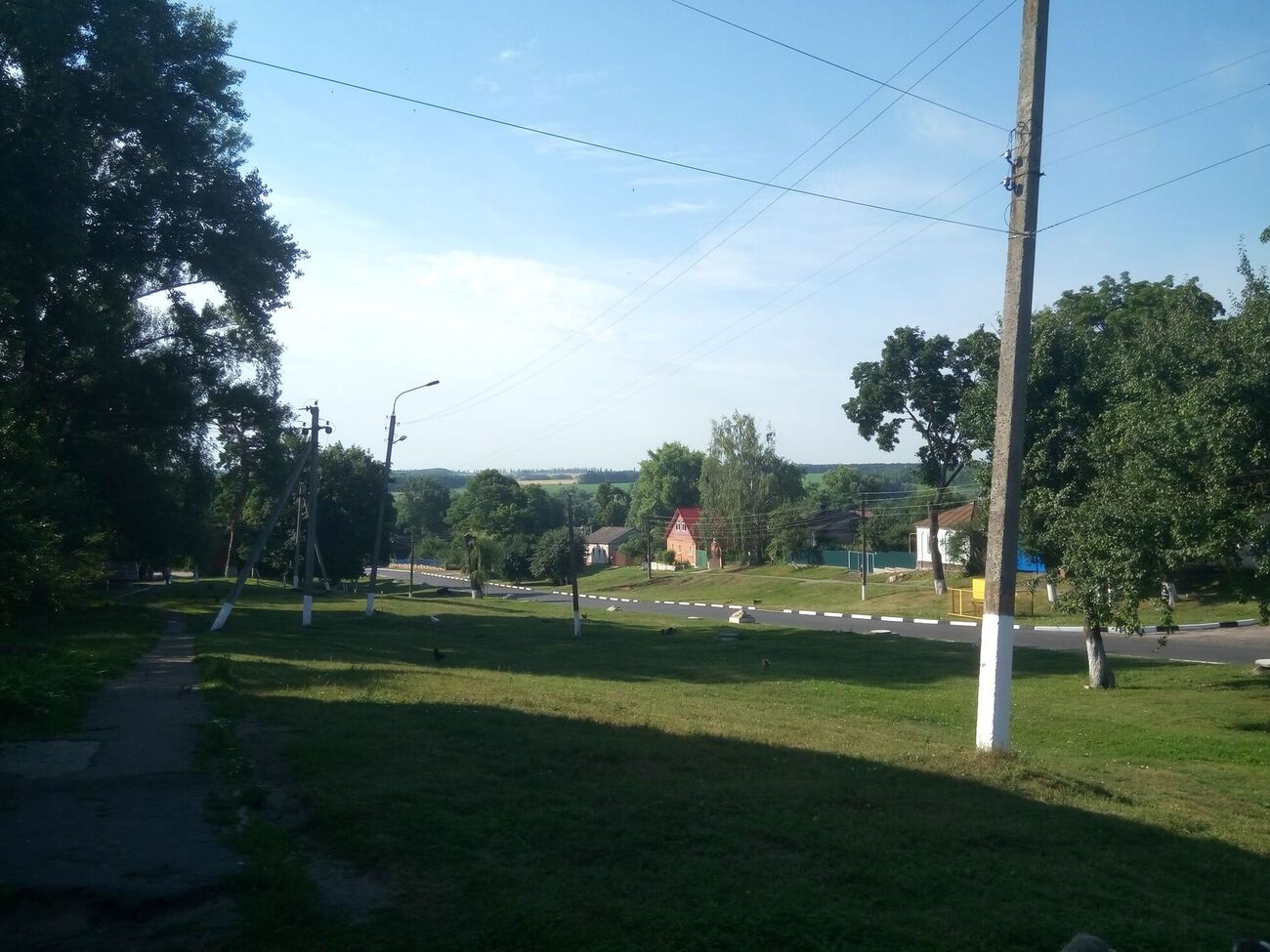 Аграрий погиб в Хотинской общине