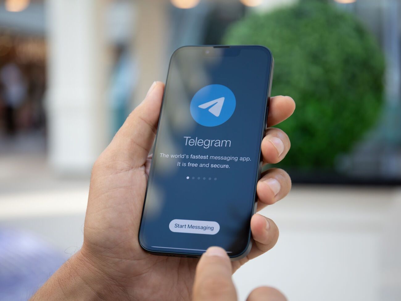 Журналісти розповіли про мережу проросійських Telegram-каналів на Заході