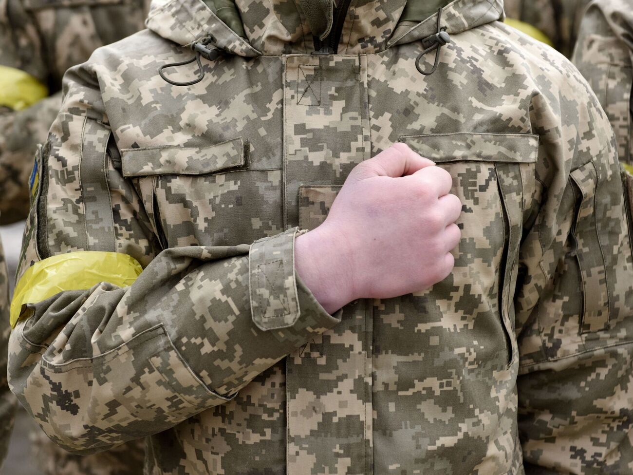 По мнению союзников, возраст 18–25 лет – самый эффективный для ведения войны, рассказал Вениславский