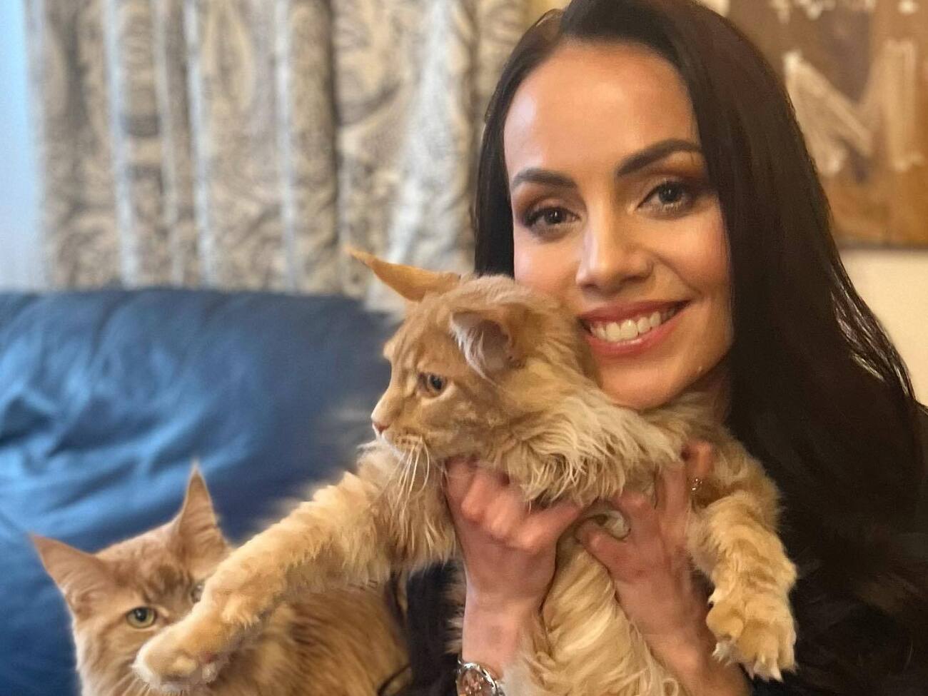 Зорий: В питомнике Хаймарсу дали имя Квест, как ищущему приключений