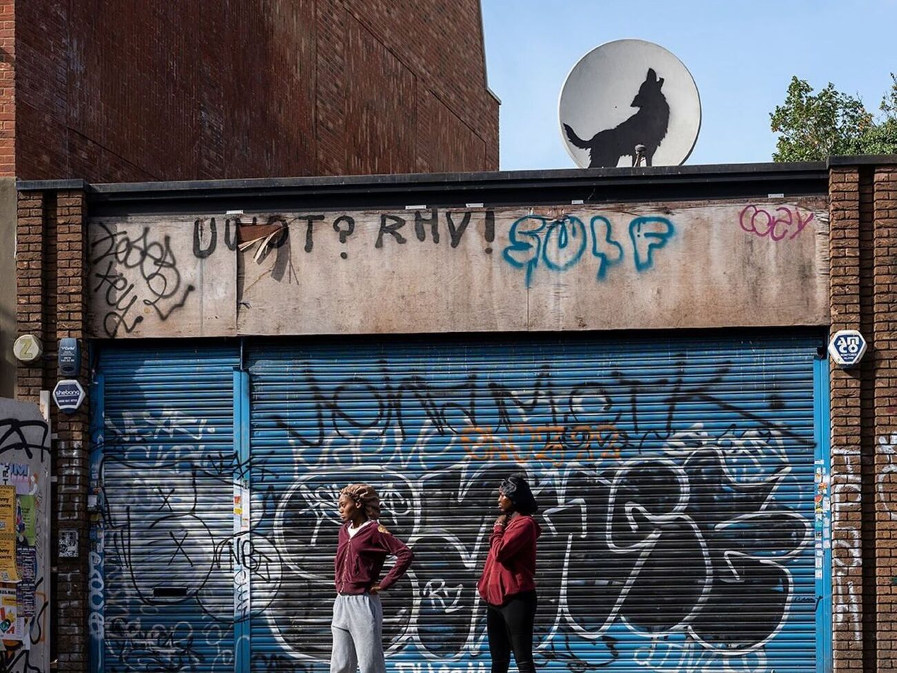 Мурал с изображением волка вскоре после появления был украден