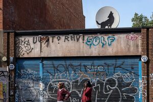 Мурал с изображением волка вскоре после появления был украден