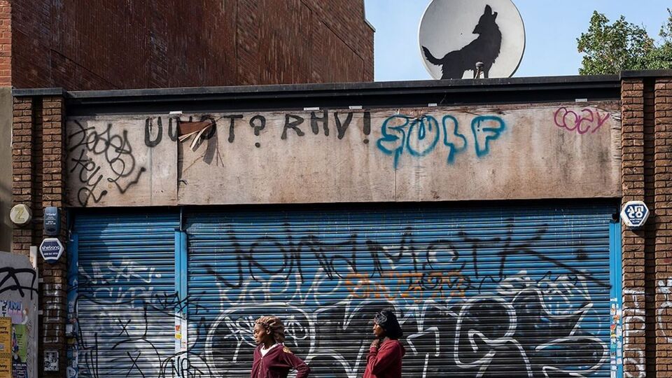 Мурал с изображением волка вскоре после появления был украден