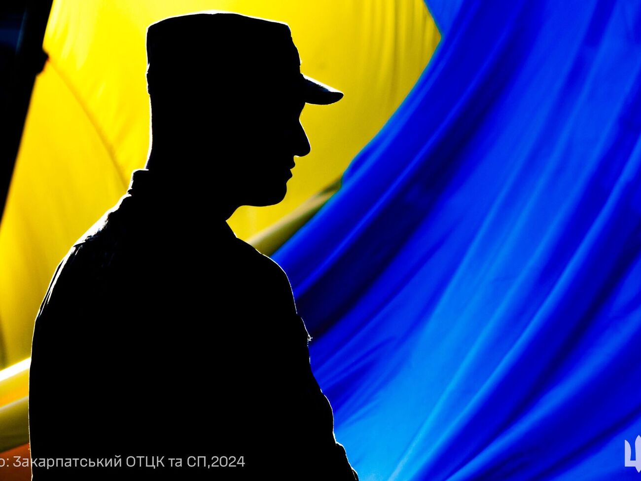 В полиции проводят служебное расследование