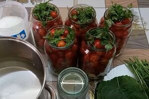 В холодном месте квашеные помидоры хранятся до самой весны