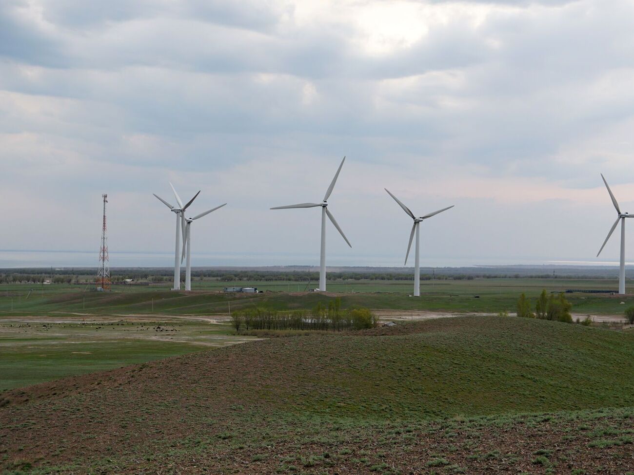 Борг ДП "Гарантований покупець" перед інвесторами в поновну енергетику сягнув майже 16 млрд грн