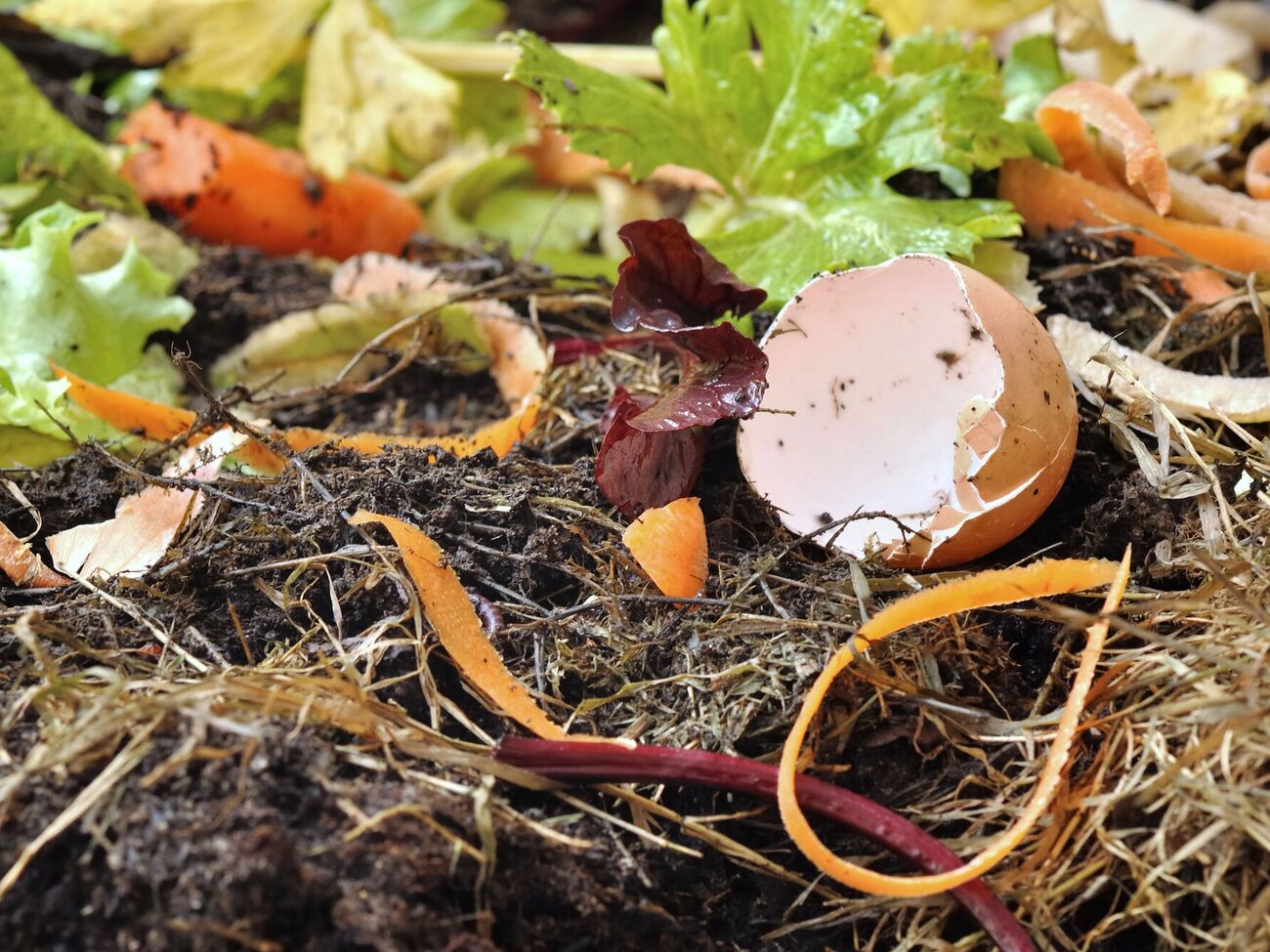 Компост укладывается слоями