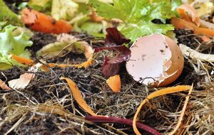 Компост укладывается слоями