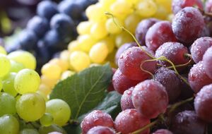 Виноград лучше сажать на солнечном участке