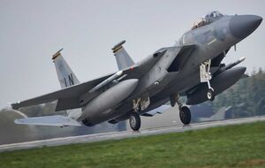 Польща розглядає можливість передання Україні додаткових партій техніки, зокрема, ймовірно, МіГ-29, зазначили в польському МЗС