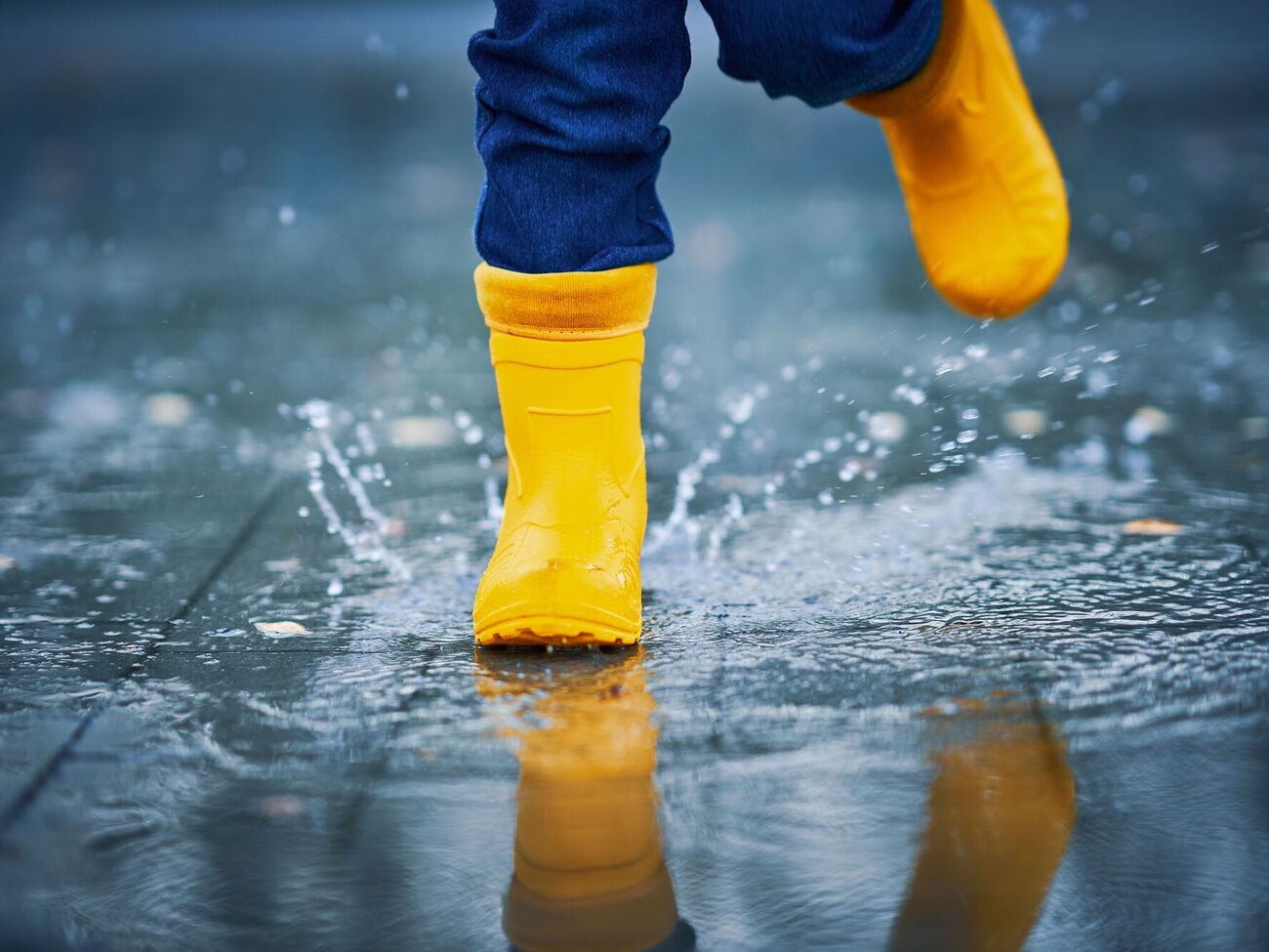 Сильные дожди прогнозируют в Карпатах и Закарпатье