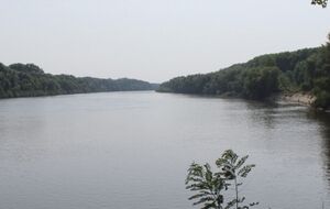 Забруднення дійшло до 336 км від впадання в річку Десна, розповіли в Держводагенстві