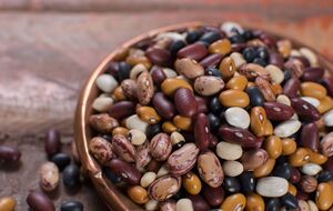 Заражение фасоли вредителями происходит еще на этапе созревания стручков