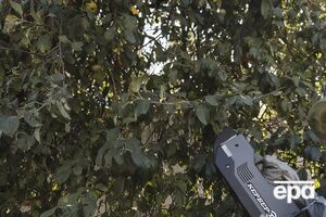 Норвезьке агентство з радіаційної та ядерної безпеки повідомило, що рівень концентрації радіоактивного цезію був низьким