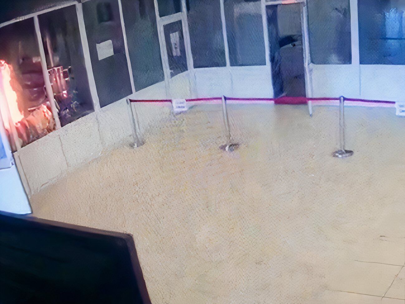За даними слідства, чоловік кинув легкозаймисту речовину в Палаці парламенту
