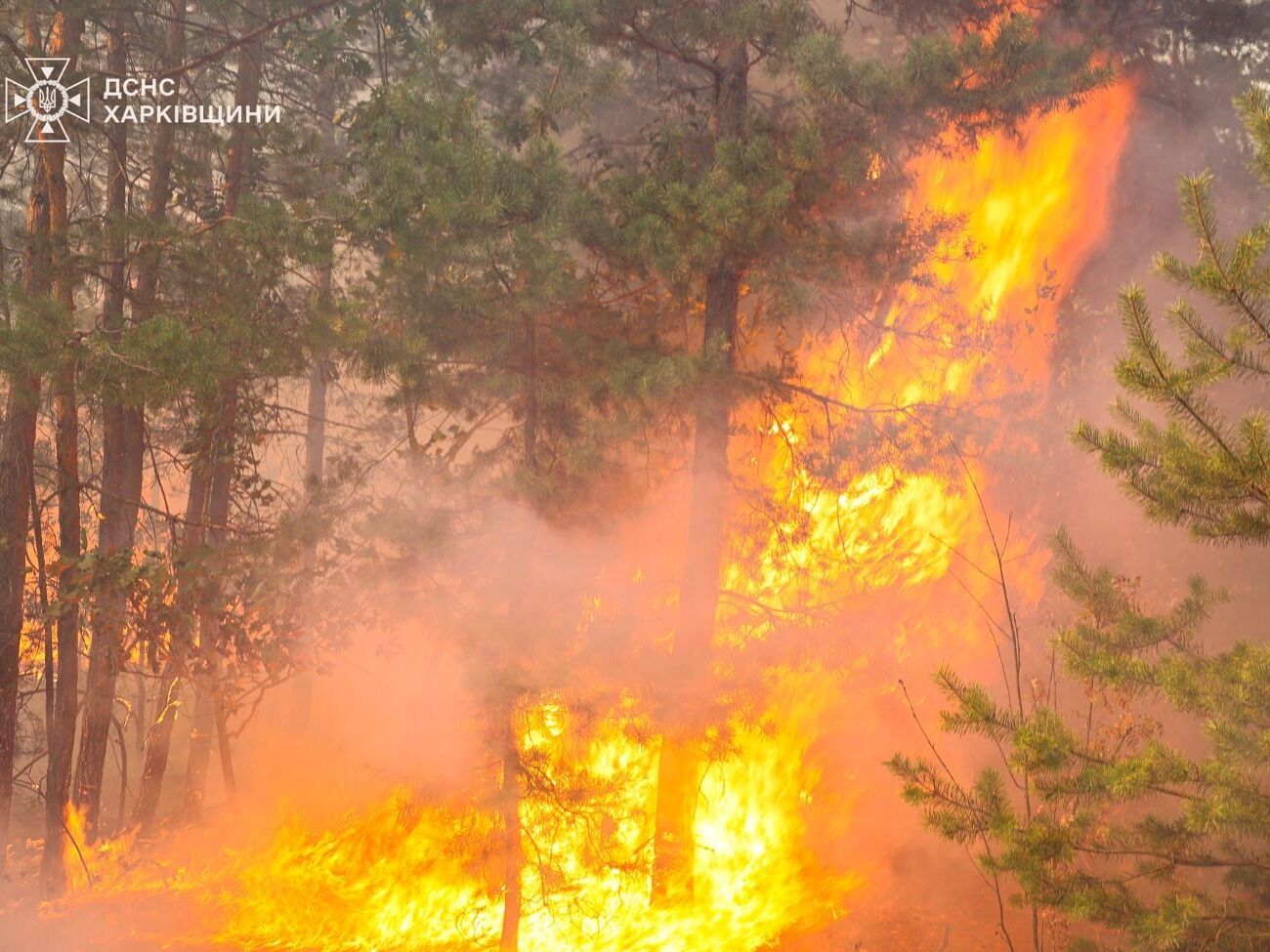 Надзвичайний рівень пожежної небезпеки триватиме протягом трьох днів