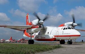 У ГСЧС есть специализированный пожарный самолет и подготовленные специалисты для работы в таких условиях, отметили в МВД Украины