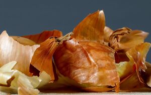 Луковую шелуху не стоит выбрасывать