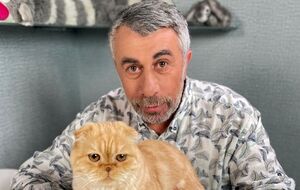 Лихорадка Западного Нила в Украине – 41 случай за август! Осложнение – энцефалит. Как себя защитить?