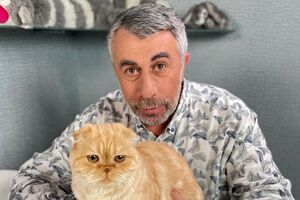 Лихорадка Западного Нила в Украине – 41 случай за август! Осложнение – энцефалит. Как себя защитить?