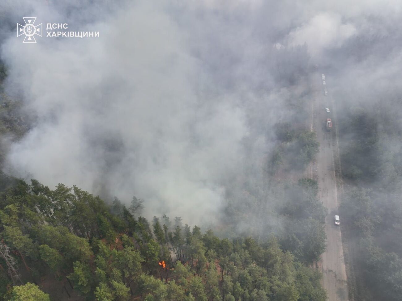 К ликвидации пожара привлечены дополнительные ресурсы из других областей, отметили в Харьковской ОВА
