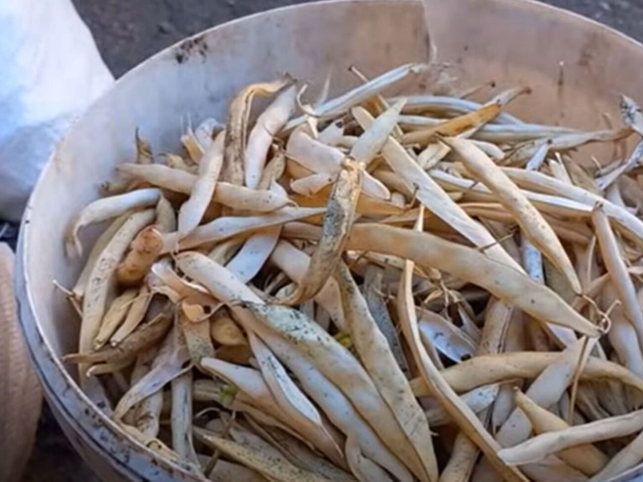 Фасоль можно хранить на чердаке нечищеной, сложив в мешки