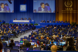 Резолюцию по Украине поддержало 65 стран – участниц конференции, против были восемь, 33 воздержались