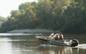 Минсреды рассказало о ситуации на реках Десна и Сейм