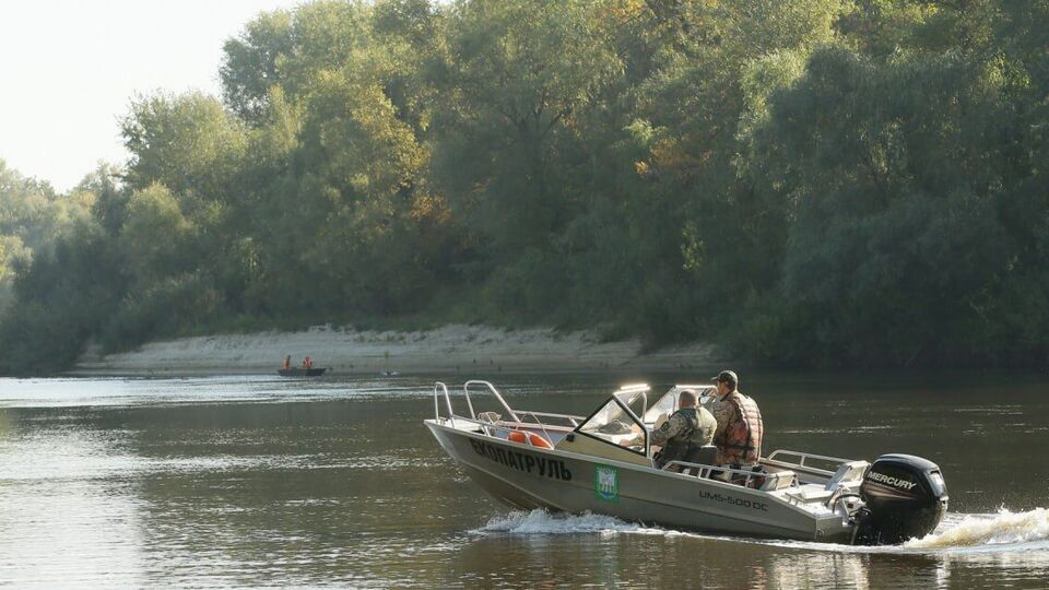 Міндовкілля розповіло про ситуацію на річках Десна і Сейм