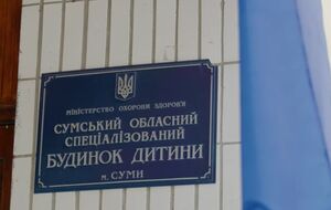 В учреждении сейчас находятся 20 детей, некоторые из них нуждаются в постоянной медицинской помощи