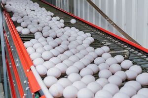 Україна перевищила встановлену ЄС квоту на яйця