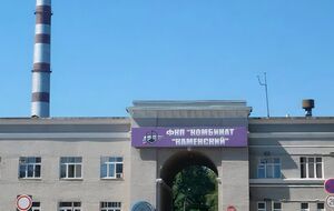 Комбінат "Каменський" – одне з найбільших хімічних підприємств півдня Росії