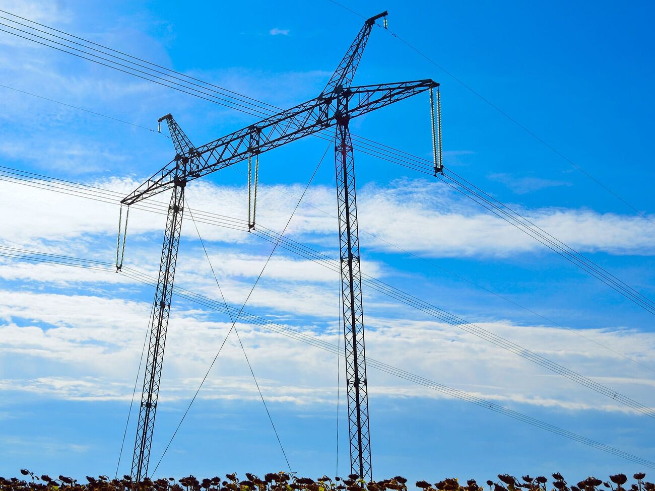 Долг "Гарантированного покупателя" перед производителями "зеленой" энергии составляет около 35,8 млрд грн