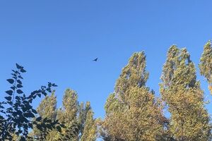 Оккупанты повторно атаковали Сумы БПЛА Shahed, рассказали в ГСЧС