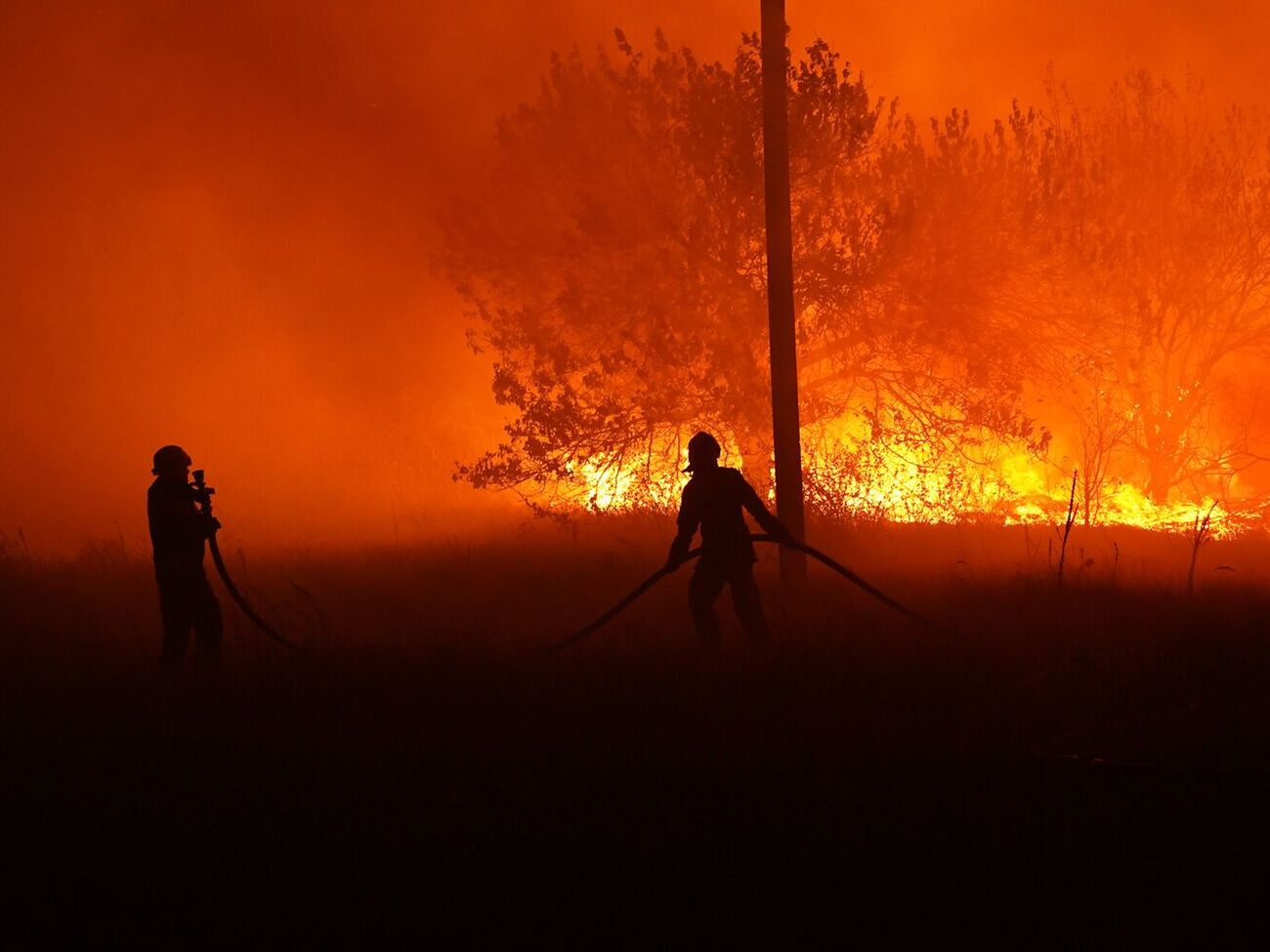 Масштабный лесной пожар вспыхнул вблизи села Малая Перещепина