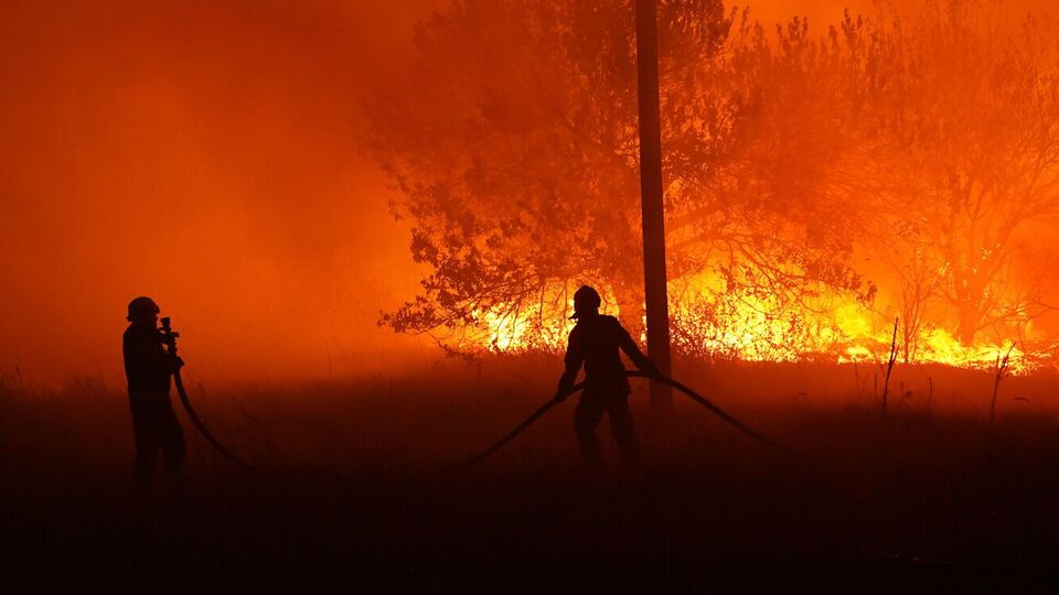 Масштабна лісова пожежа спалахнула поблизу села Мала Перещепина