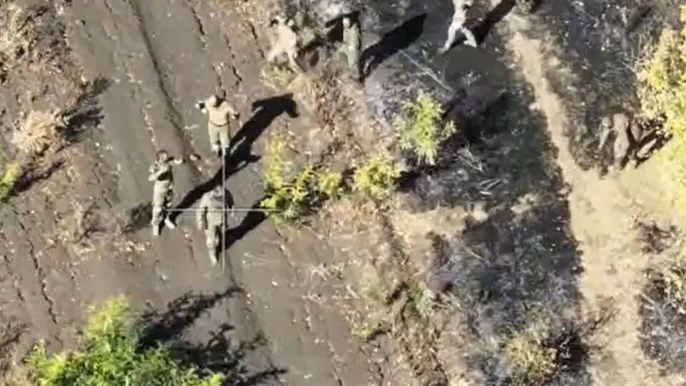 Семеро окупантів вийшли з посадки, щоб здатися в полон ЗСУ, розповіли у 33-й ОМБр