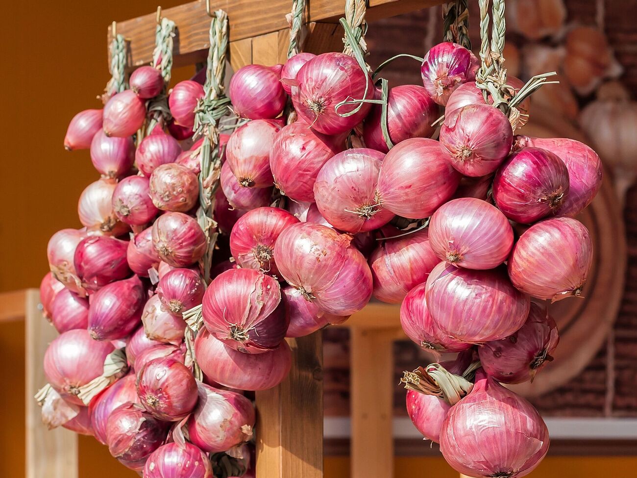 Якщо цибулю зберігати у квартирі, то через перепади температури й високу вологість вона проросте