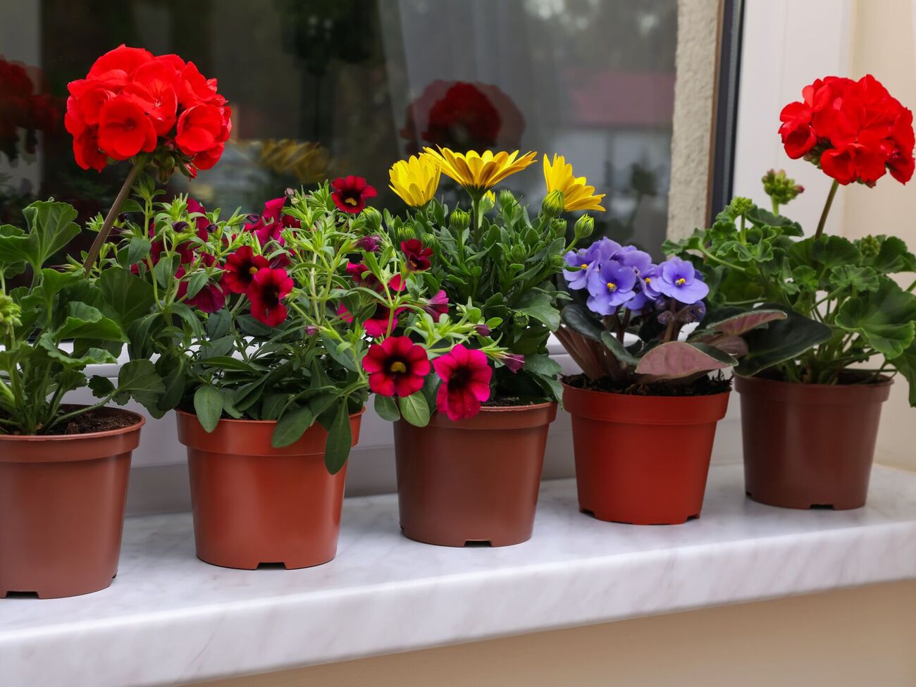 Завдяки сірці покращується аерація ґрунту