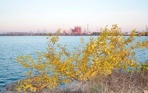 По данным "Энергоатома", на Пивденноукраинской АЭС не произошло ни одной аварии