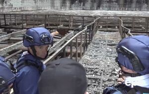 По словам Гросси, сооружение в будущем, вероятно, снесут