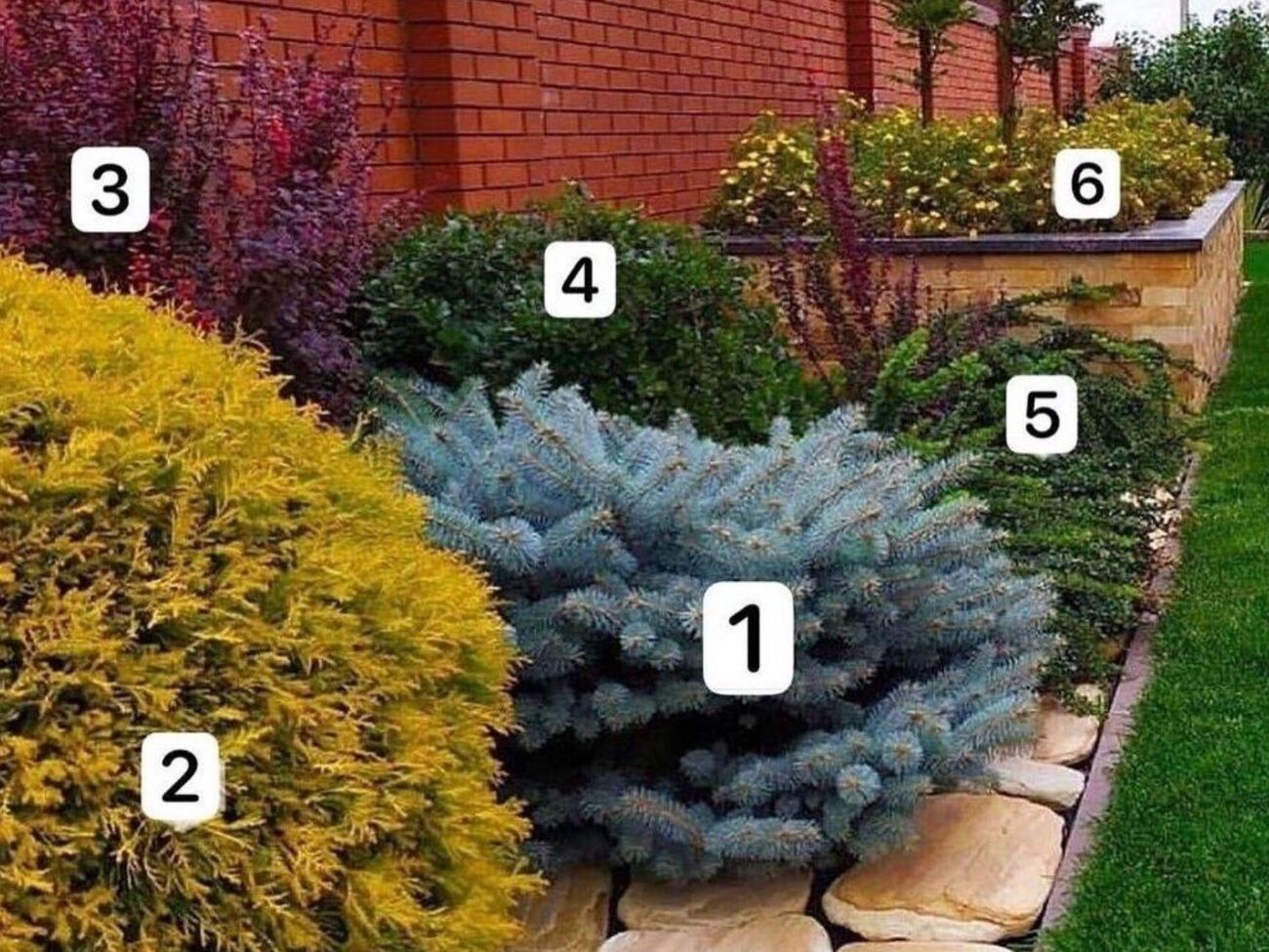 Клумба из кустарников почти не нуждается в уходе